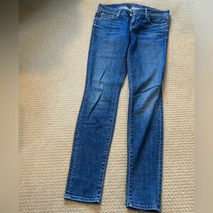 Paradise Mine Blue Skinny Jeans